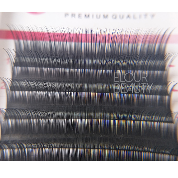 New design OEM brand camellia eyelash exensions beauty supplies EL32